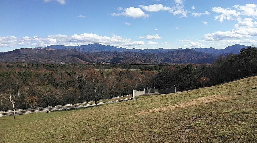 🏞️ 야마나시 현립 마키바 공원(山梨県立 まきば公園) 이미지 3